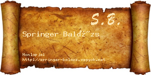 Springer Balázs névjegykártya